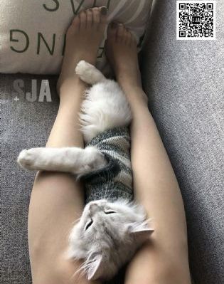 91久久粉嫩视频_DVD在线手机播放