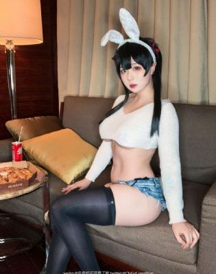 欧美冬青和北美冬青_BD韩语全集免费播放